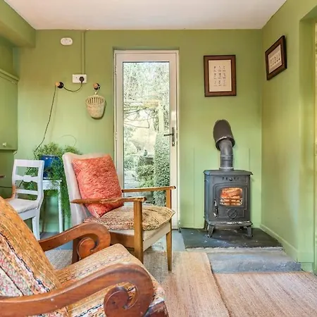 The Old Goathouse בית הארחה קילדייר