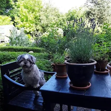 Vendégház The Old Goathouse Kildare