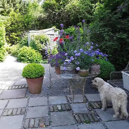 The Old Goathouse קילדייר