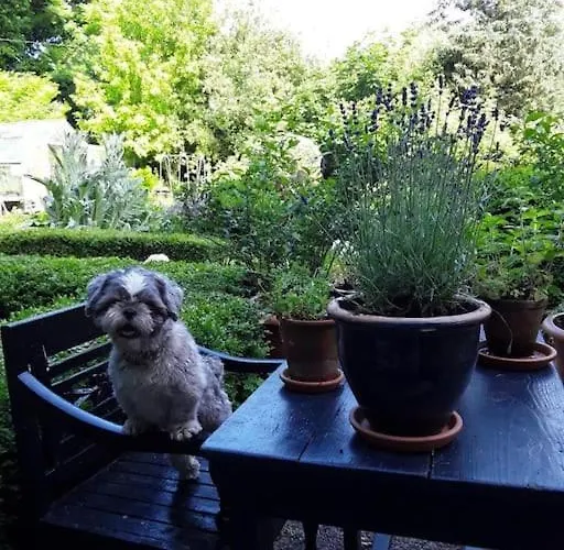 Maison d'hôtes The Old Goathouse Kildare