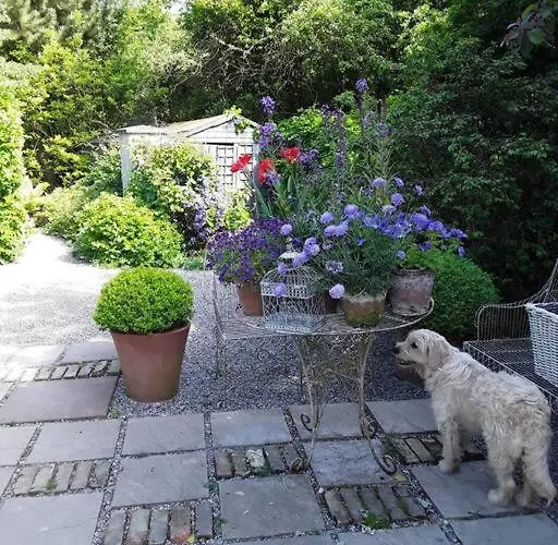 The Old Goathouse Kildare